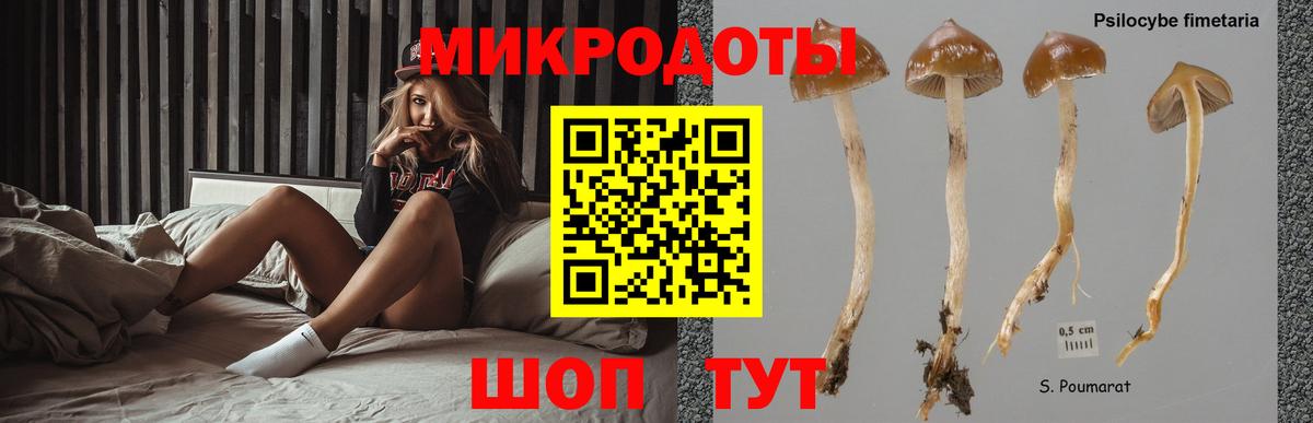 Рассказово  Псилоцибиновые грибы мухоморы  Вход с VPN  Галлюциногенные грибы ЛСД 